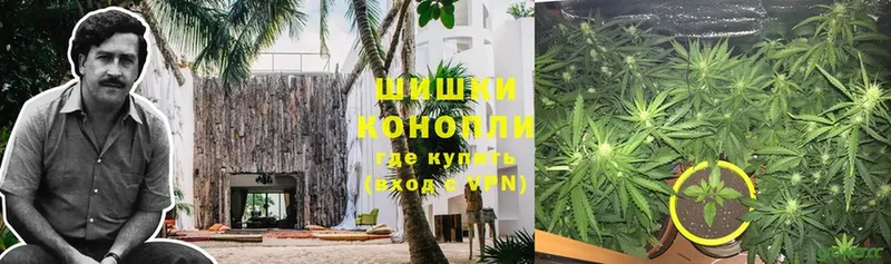 Каннабис OG Kush  Нижний Ломов 